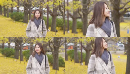 微笑的年轻亚洲女性游客在日本昭和基嫩公园散步，看着美丽的黄色银杏叶在秋天落下。日本旅游度假和季节变化的概念。高清在线视频素材下载