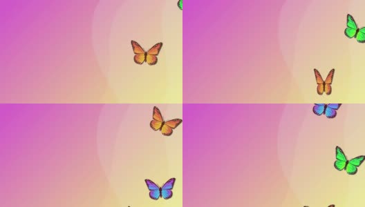 美丽的春天和夏天设计动画与蝴蝶浅粉色的背景。循环动画素材与复制空间。五颜六色的蝴蝶飞了起来。2 d风格高清在线视频素材下载