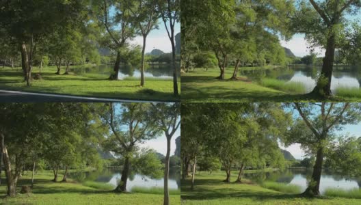 穿过柏油路，穿过草坪，来到公园里的天然池塘。晨光下，绿树成荫的公园里有小湖，景色优美。高清在线视频素材下载
