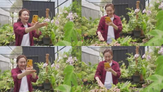 4K亚洲女植物商店老板在智能手机上直播盆栽为在线商店高清在线视频素材下载