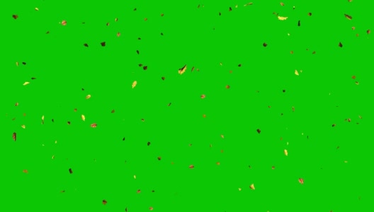 枫叶落在绿色的背景上。高清在线视频素材下载