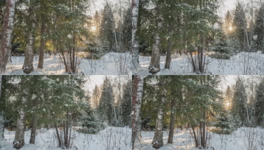 奇妙的冬季精灵森林。美丽的阳光穿过树木和降雪。镜头在森林里移动。镜头向右移动，延时4k。Hyperlapse高清在线视频素材下载