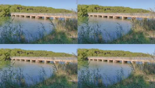 天然公园中美丽的河流上的石桥高清在线视频素材下载