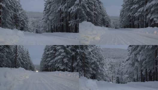 冬天的风景。在冬日的树林里漫步。雪的世界。冬天是传说。高清在线视频素材下载