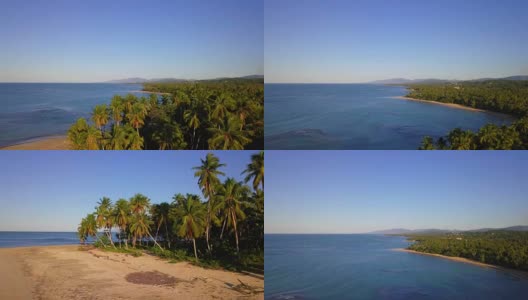 4K空中日落在热带岛屿上的棕榈树高清在线视频素材下载