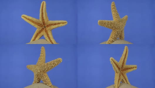 旋转的海星躺在沙滩上。孤立的高清在线视频素材下载