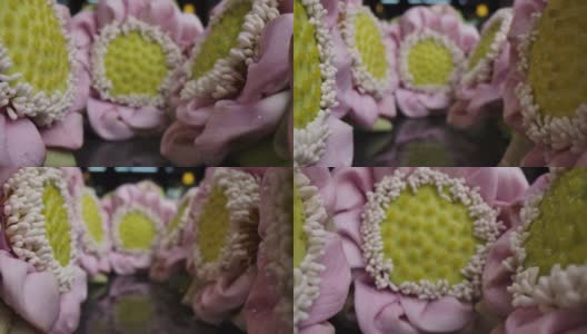 多莉微距拍摄的花折叠花瓣荷花装饰背景复制高清在线视频素材下载