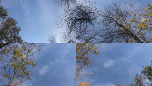 从下往上看，在天空和树梢旋转。高清在线视频素材下载