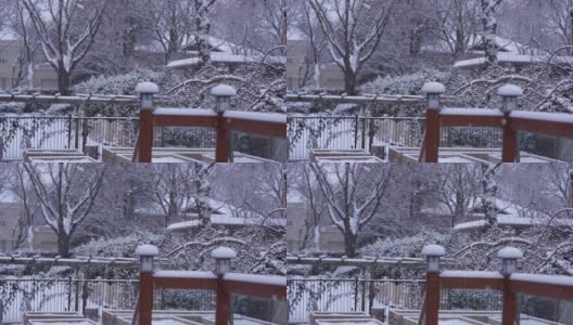 后院下雪了高清在线视频素材下载