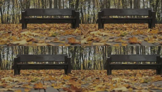 长椅上,秋天。多莉拍摄高清在线视频素材下载