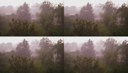 俯视，集中大雨滴、城市公园、春日、城市雷暴、狂风暴雨、暴雨与冰雹。狂风大作高清在线视频素材下载