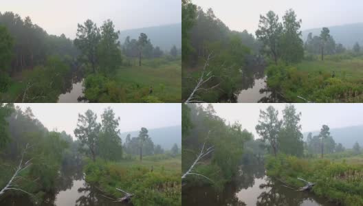 空中视频。夏季森林里有一条小山河高清在线视频素材下载