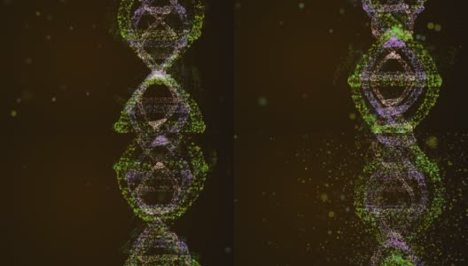 进入DNA链的旅程。复杂的DNA全息图在许多散焦粒子之间旋转的4k视频。高清在线视频素材下载