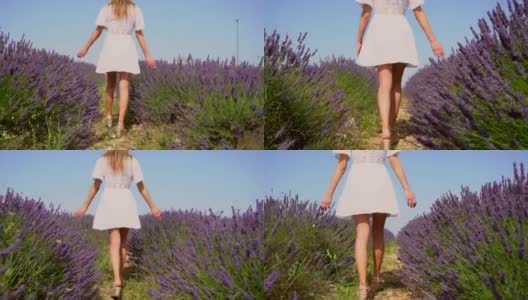 生活方式与一个年轻的金发白种女人漫步在一个夏天的下午紫色的薰衣草田在白色的裙子和帽子。跟在一个在薰衣草地里散步的年轻人后面高清在线视频素材下载