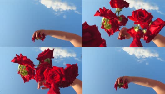 红色玫瑰的蓓蕾在天空的映衬下落下。缓慢的运动。高清在线视频素材下载