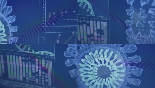 电脑屏幕上的冠状病毒和DNA模型。研究DNA损伤高清在线视频素材下载