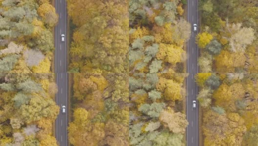 驾车穿越秋天的乡村道路。在美丽的秋天，汽车在乡间小路上行驶。白色的越野车穿过风景优美的黄色秋天森林。俯视图航拍高清在线视频素材下载