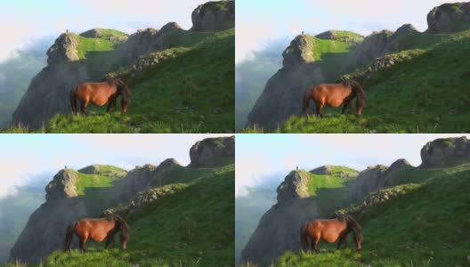 在巴斯克地区的阿亚山(Monte Peñas de Aya或Aiako Harria)多云的山顶上，一匹棕色的马。巴斯克地区高清在线视频素材下载
