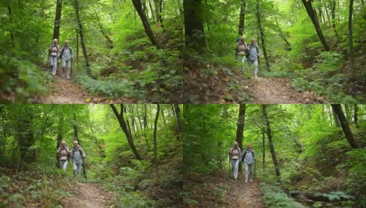 一对兴高采烈的年老游客在树林里的小路上散步高清在线视频素材下载