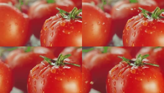 成熟的西红柿高清在线视频素材下载