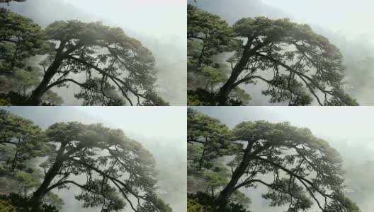 苍茫的黄山，蓝天为背景。高清在线视频素材下载