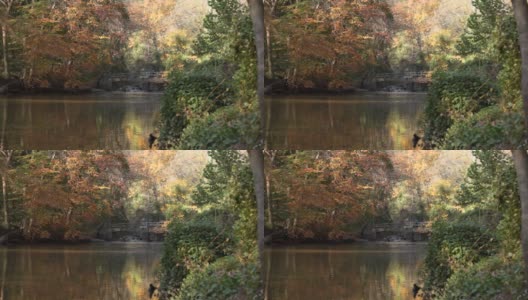 断崖桥-石溪公园-华盛顿特区-秋天高清在线视频素材下载