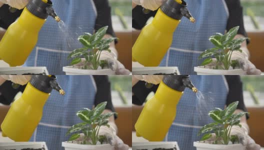 场景慢镜头:亚洲女人在早晨的小花园中浇灌植物放松的室内现代住宅，小花园家居改善的概念高清在线视频素材下载