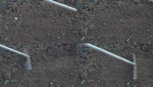 农民用耙子在地里耕作高清在线视频素材下载