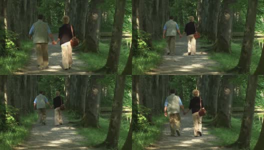 《公园漫步》高清在线视频素材下载