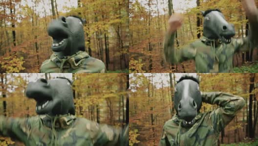 马的头面具高清在线视频素材下载