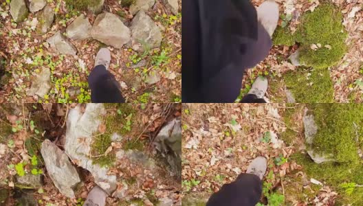 在森林小径上徒步旅行的单身男子高清在线视频素材下载