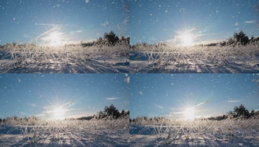 冬天的景观有降雪量，云杉树枝上的霜花，圣诞冬天的景观美丽高清在线视频素材下载