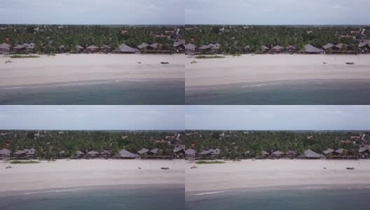 鸟瞰巴西东北部海滨小镇，椰子树林立高清在线视频素材下载
