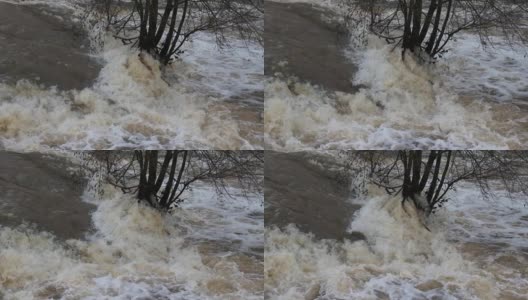 树木的特写站在肮脏的棕色洪水的水流中，慢动作高清在线视频素材下载