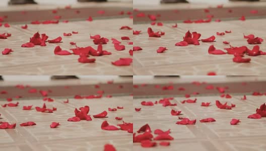 婚礼上地板上的花瓣高清在线视频素材下载