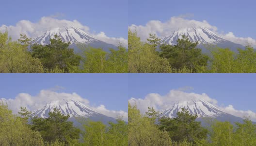 日本山梨县富士山的春天景观高清在线视频素材下载