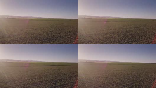 4K鸟瞰图的农田在圣华金谷高清在线视频素材下载