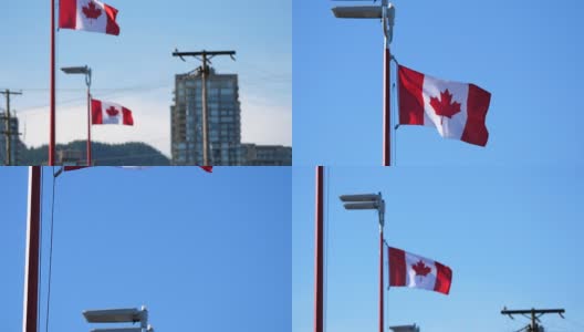在旗杆上飘扬的加拿大国旗从离焦到聚焦的运动高清在线视频素材下载