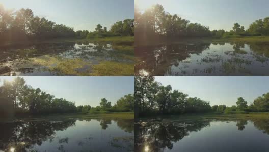 杂草丛生的池塘鸟瞰图，4K高清在线视频素材下载