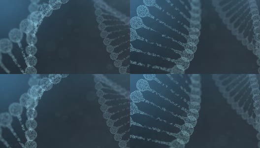 两个旋转的神经丛DNA链-蓝色版本高清在线视频素材下载