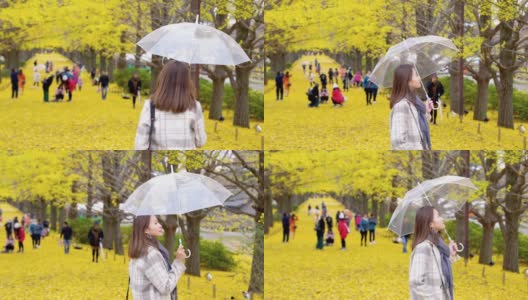 在日本昭和基嫩公园，微笑的年轻亚洲女游客撑着伞，看着美丽的黄色银杏叶在秋天飘落。日本旅游和季节变化的概念。高清在线视频素材下载