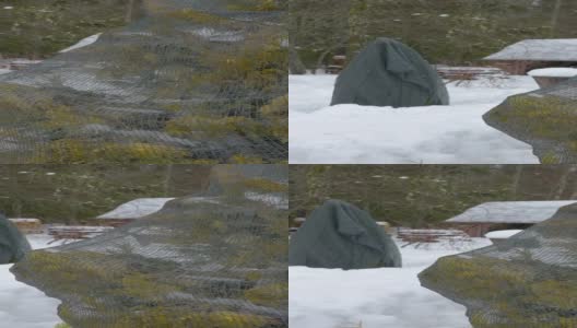 爱沙尼亚森林中厚厚的积雪垂直拍摄高清在线视频素材下载