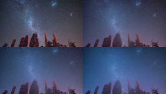 新西兰坎特伯雷特卡波湖的银河系和麦哲伦星云与星系恒星的时光流逝运动高清在线视频素材下载