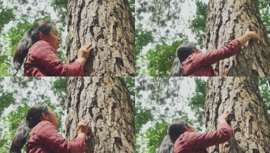 雨林里，一个快乐的女人站在一棵老树旁，用爱和微笑拥抱着。地球日和不砍伐森林的概念。高清在线视频素材下载