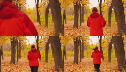 迷人的女运动员穿着鲜艳的运动服和运动鞋在秋天的公园跑步。培训和体育高清在线视频素材下载