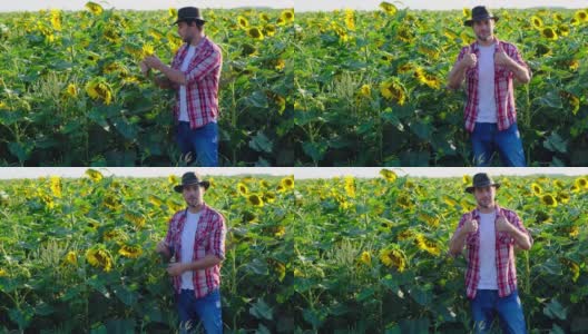 戴着牛仔帽、穿着格子衬衫的农民在秋收时看着葵花籽高清在线视频素材下载