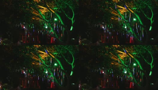 树上的照明像明亮的雨高清在线视频素材下载