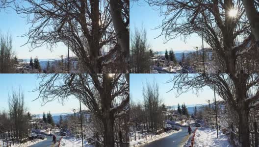 一个小村庄里结霜的树木高清在线视频素材下载