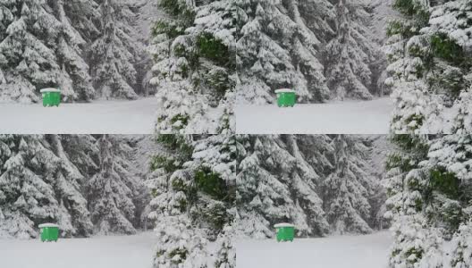 森林里的松树覆盖着白雪高清在线视频素材下载
