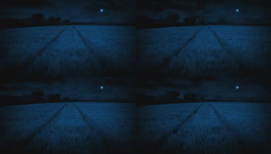 夜间穿过玉米地的足迹高清在线视频素材下载